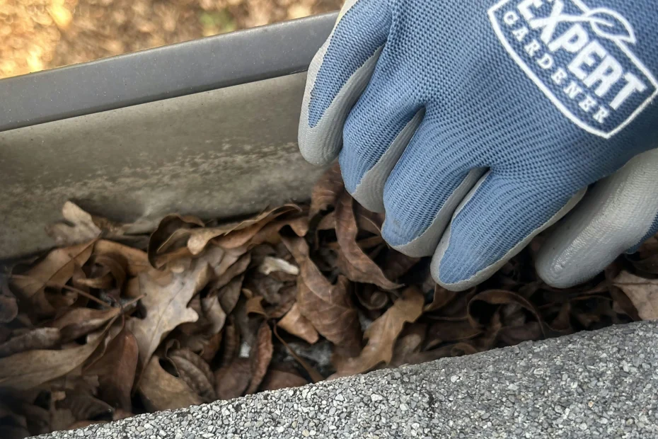 Gutter Cleaning Diplomat