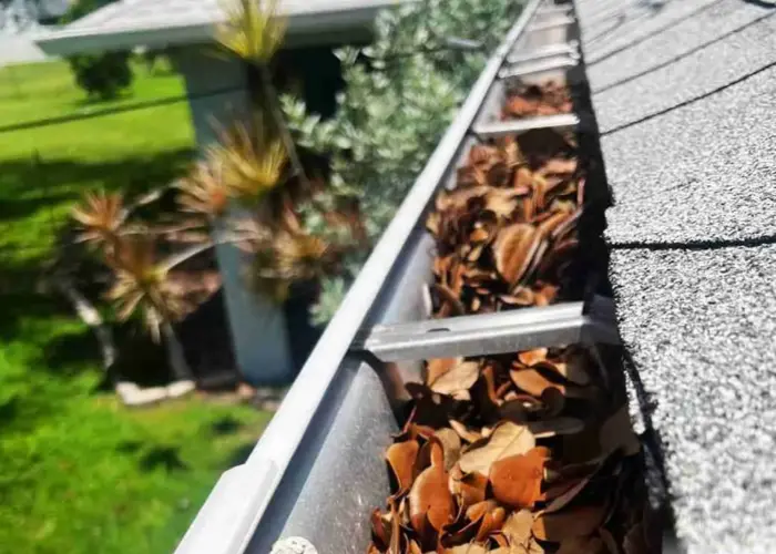 Gutter Cleaning Diplomat home page